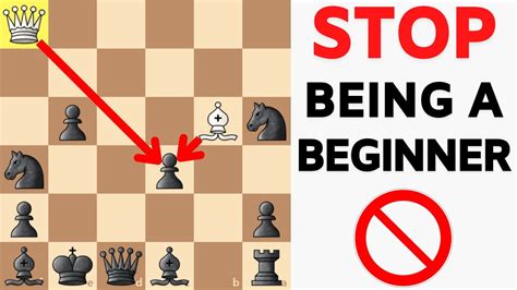 chess result.com|chess results mp.